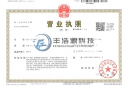 执照